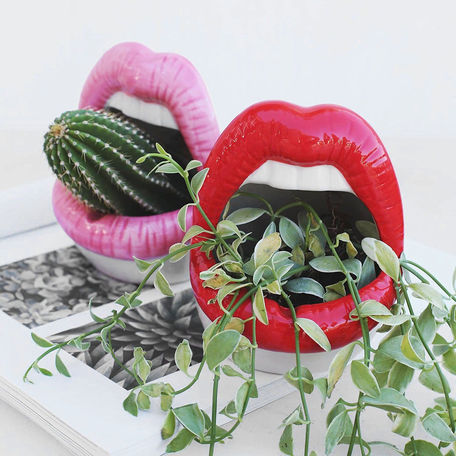 Junips | Lips Flower Pot
