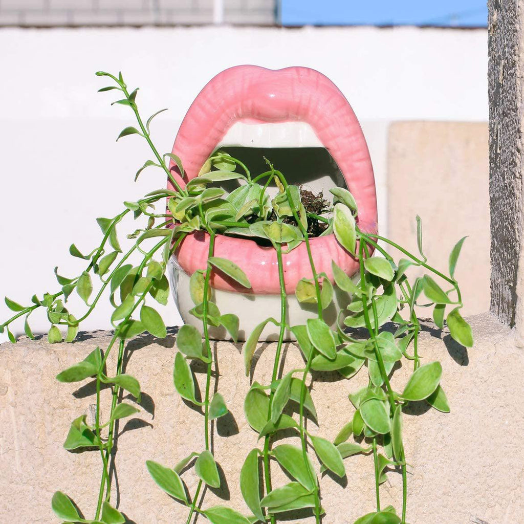 Junips | Lips Flower Pot