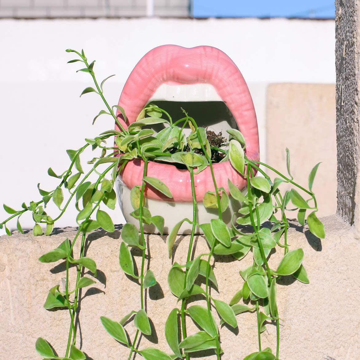 Junips | Lips Flower Pot