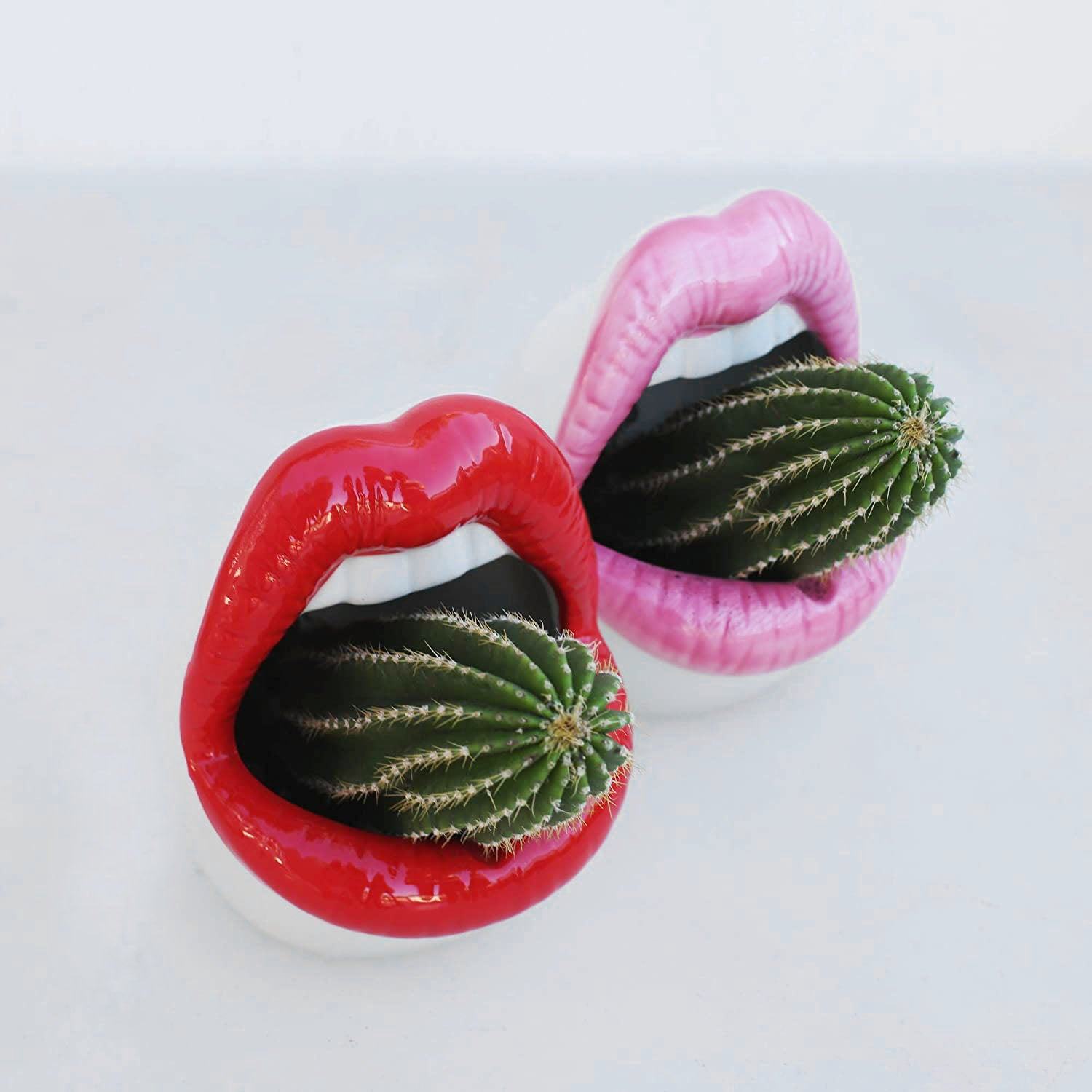 Junips | Lips Flower Pot