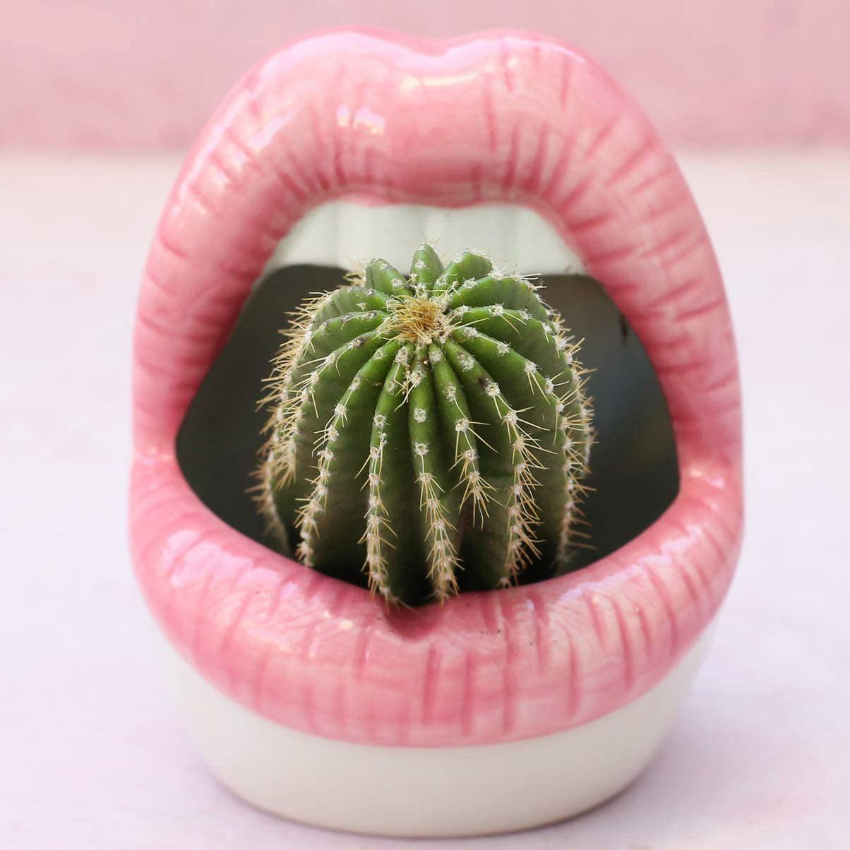 Junips | Lips Flower Pot