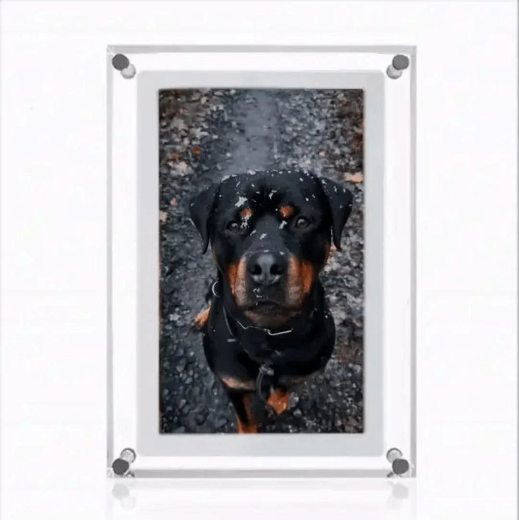 Junips | Memory Frame | For Eternal Memories
