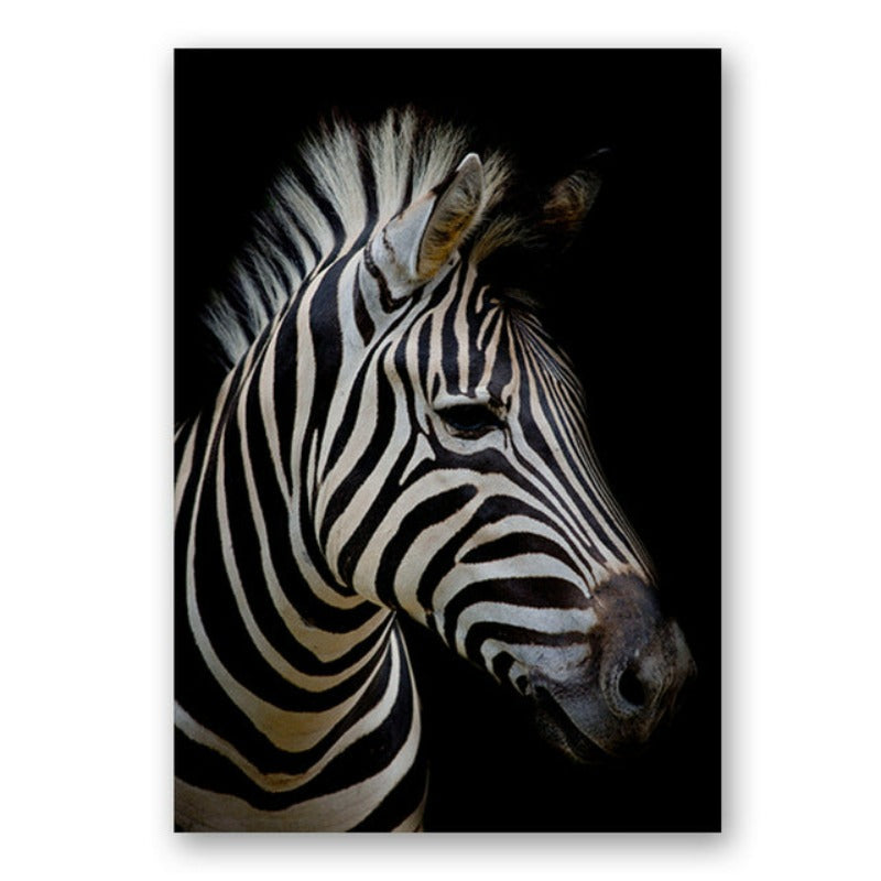 Junips | Nature Wild Animals Africa Wildlife Black White - Canvas Wall Art Painting