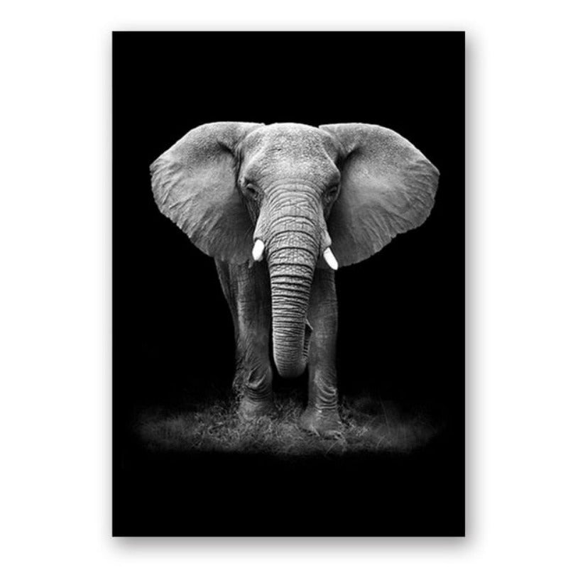 Junips | Nature Wild Animals Africa Wildlife Black White - Canvas Wall Art Painting