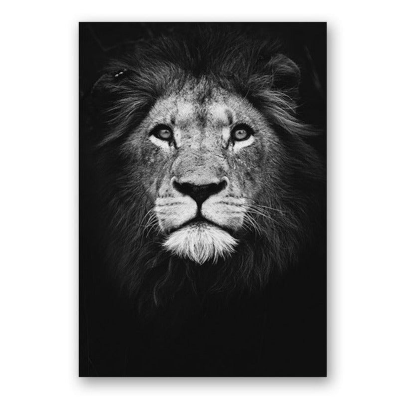 Junips | Nature Wild Animals Africa Wildlife Black White - Canvas Wall Art Painting