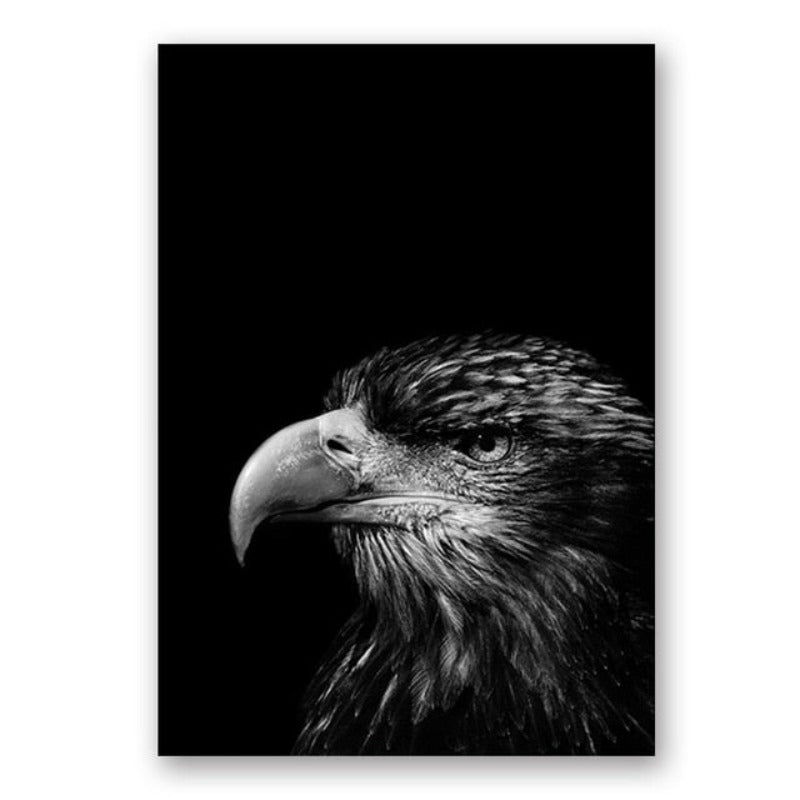 Junips | Nature Wild Animals Africa Wildlife Black White - Canvas Wall Art Painting