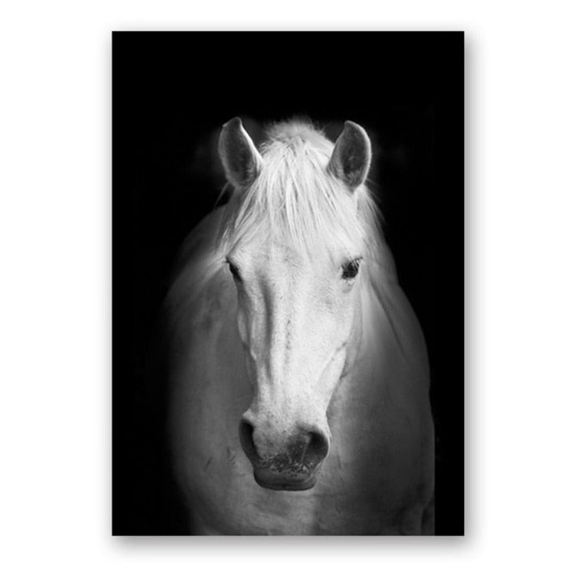 Junips | Nature Wild Animals Africa Wildlife Black White - Canvas Wall Art Painting