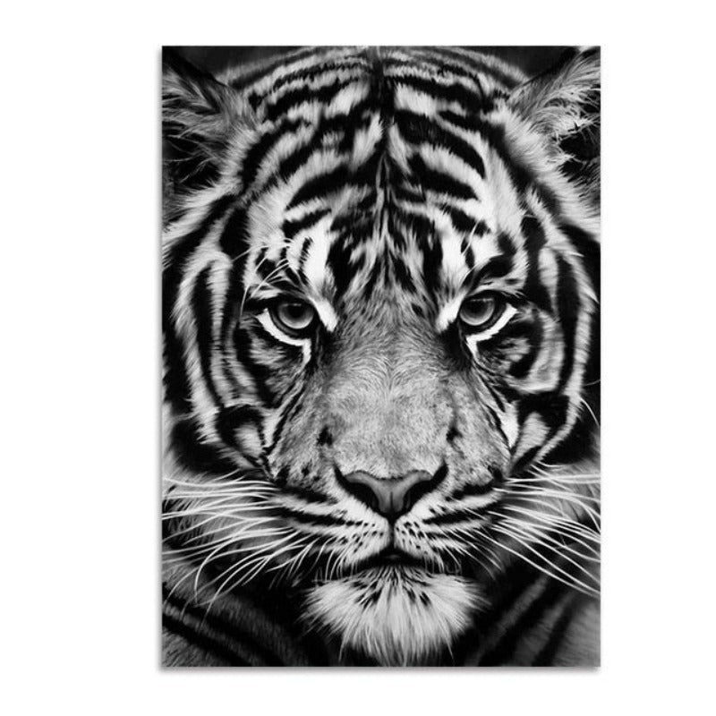 Junips | Nature Wild Animals Africa Wildlife Black White - Canvas Wall Art Painting