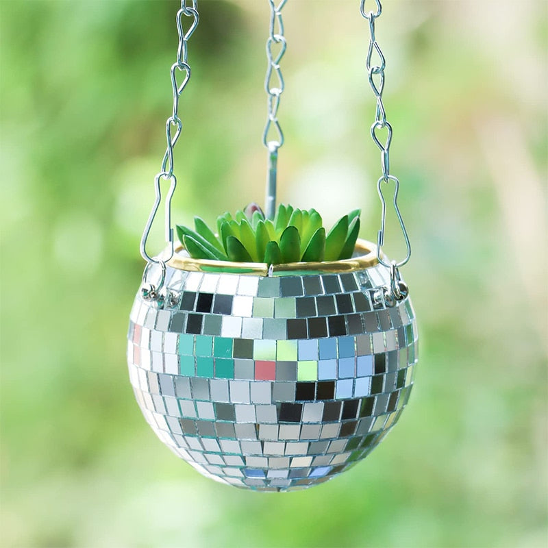 Junips | Disco Ball Plant