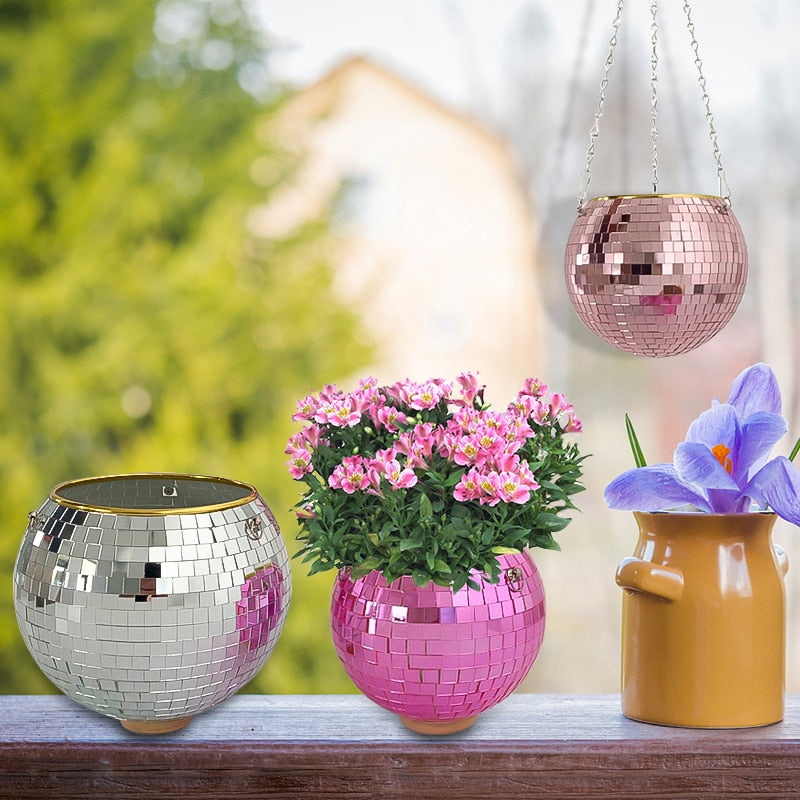 Junips | Disco Ball Plant