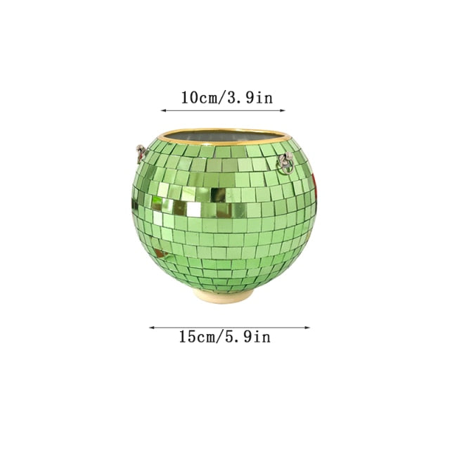 Junips | Disco Ball Plant