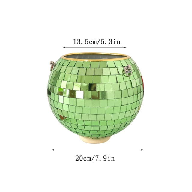 Junips | Disco Ball Plant