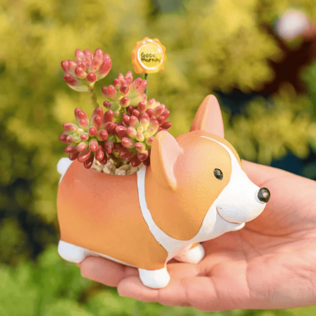 Junips | Resin Corgi Mini Flower Pot