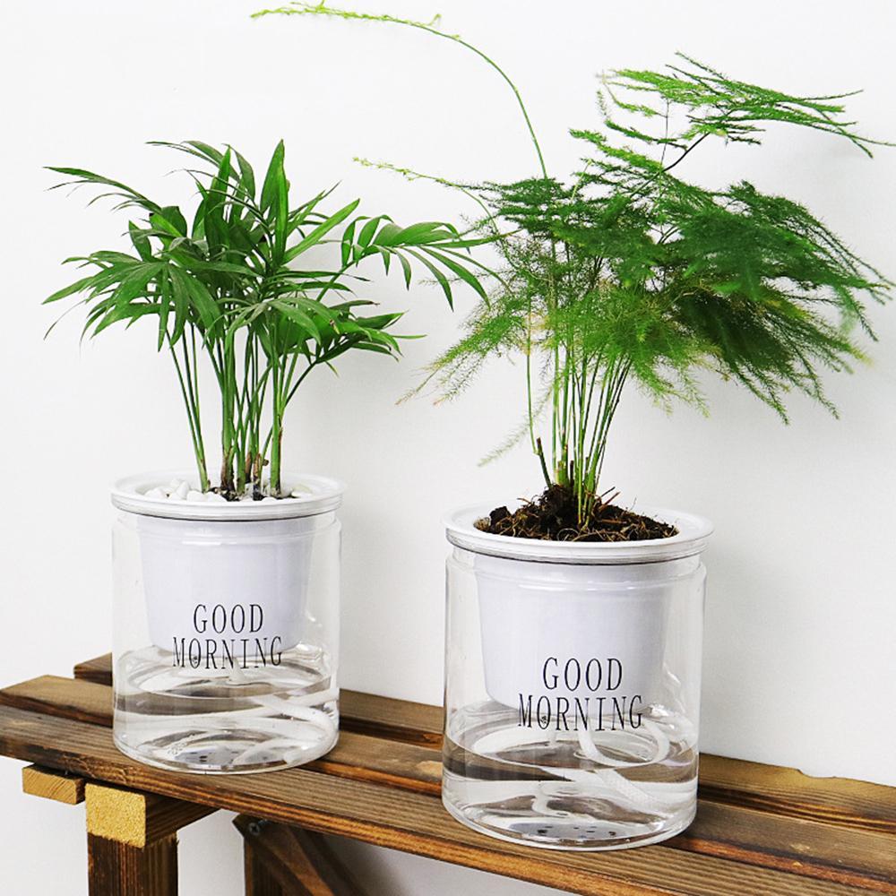 Junips | Self-watering Hydro-Flower Pot