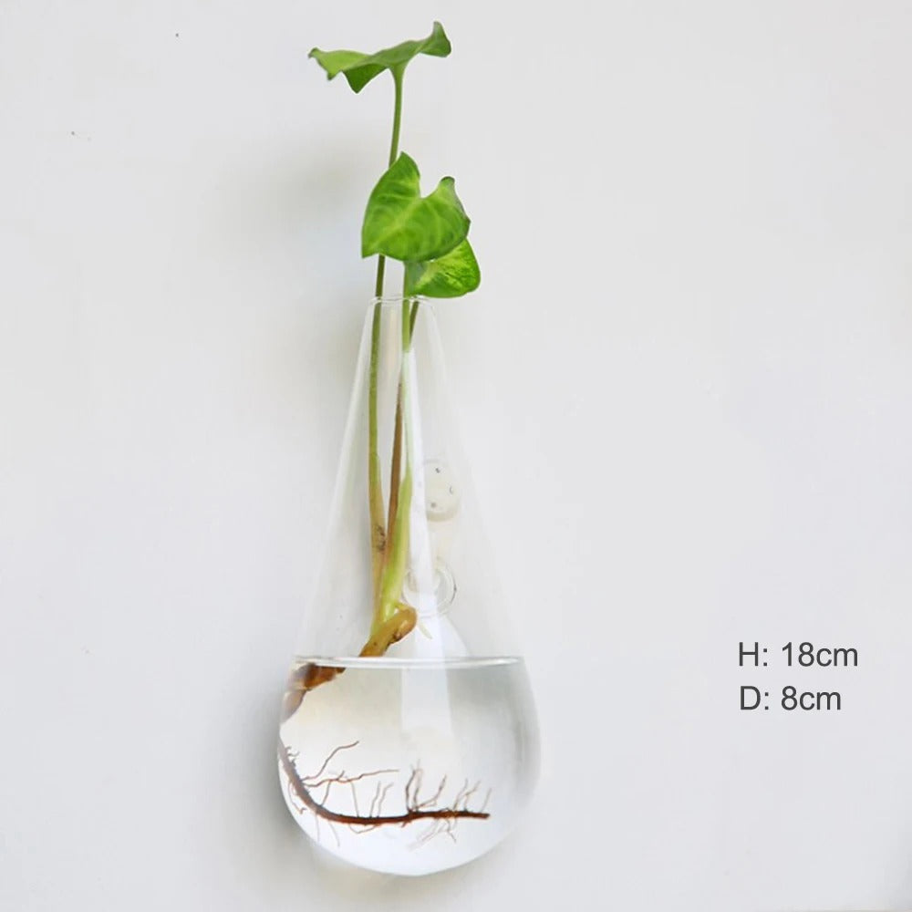Junips | Wall vase made of glass