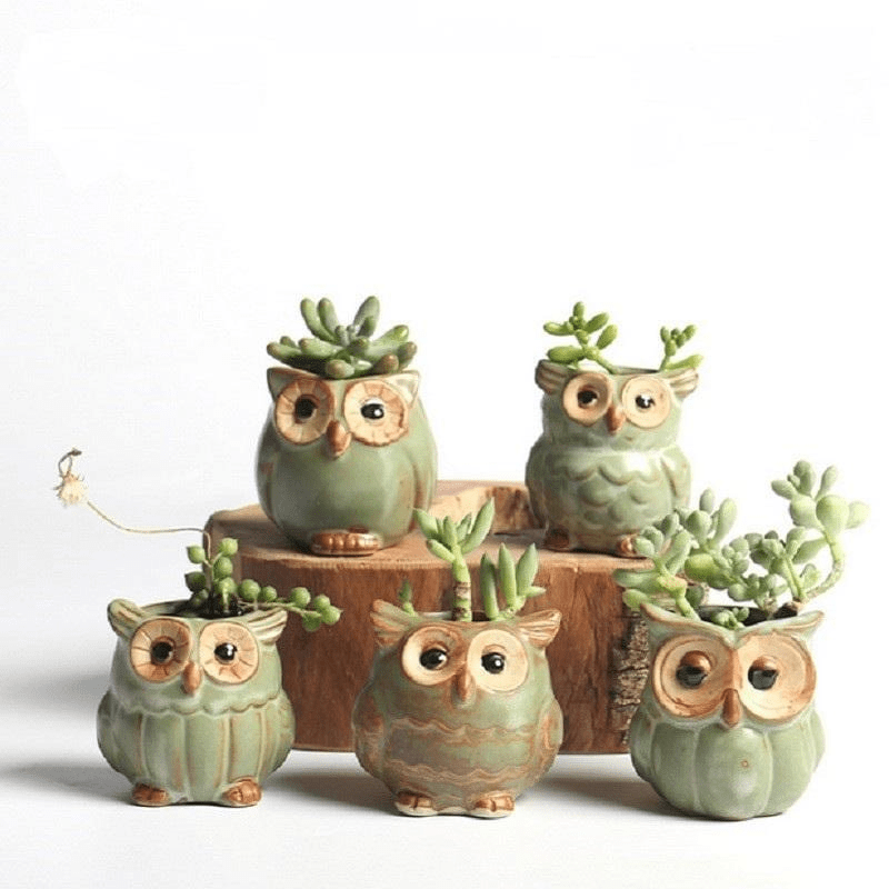 Junips | Owls Ceramic Flower Pot Set 5-piece