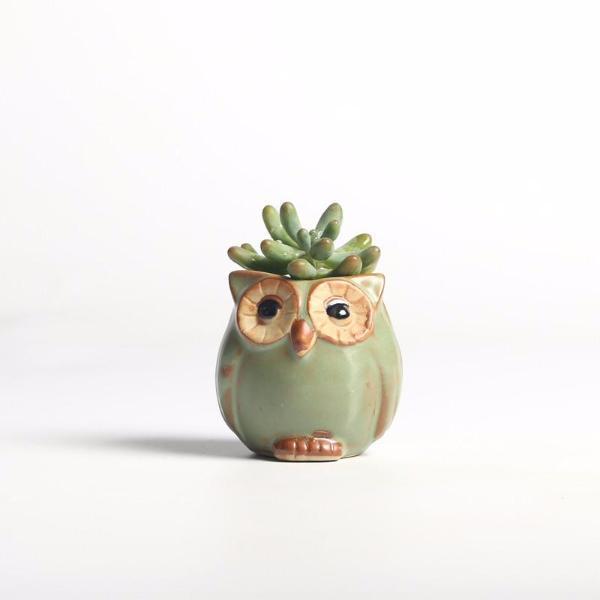 Junips | Owls Ceramic Flower Pot Set 5-piece