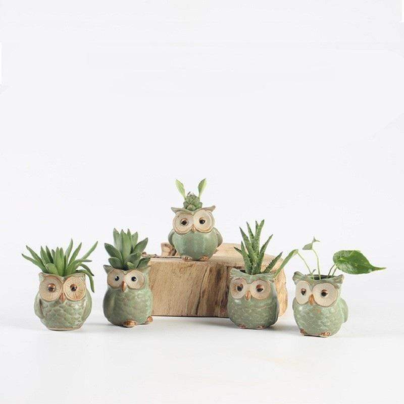 Junips | Owls Ceramic Flower Pot Set 5-piece