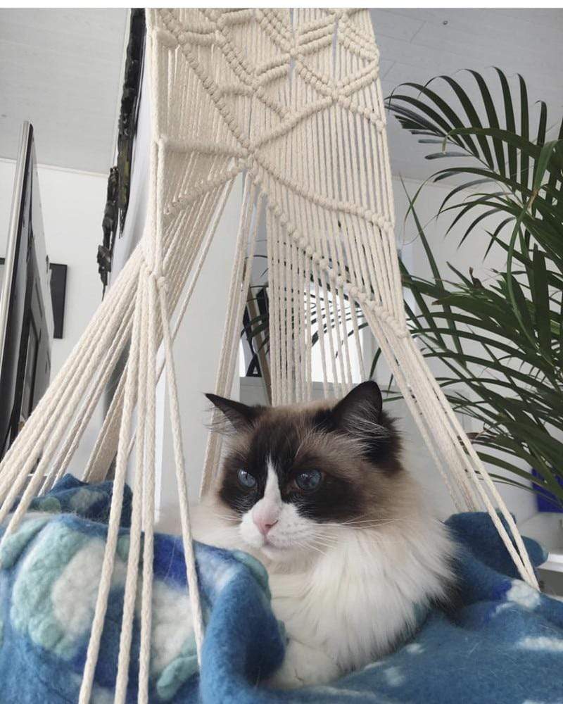 Junips | Macrame Wall Hanging Cat Bed
